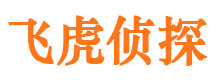 北宁市侦探调查公司